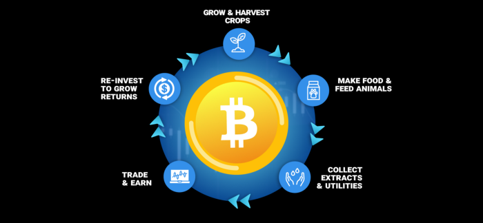 發行CBX代幣的CropBytes是什麼? 7